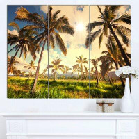 Design Art 'Beautiful Palm Plantation in Hawaii' 3 Piece Photographic Print on Wrapped Canvas Set
