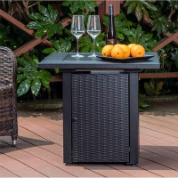 Darby Home Co Priestley Steel Propane Fire Pit Table
