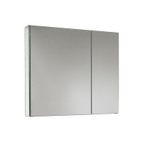 Ebern Designs Crediton Surface Mount or Recessed Frameless 2 Doors Medicine Cabinet with Adjustable Shelves