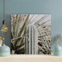 Foundry Select Cactus Plant During Daytime - 1 Piece Square Graphic Art Print On Wrapped Canvas