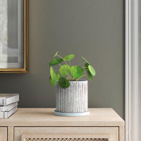 Joss & Main Asberry Curio Ceramic Pot Planter
