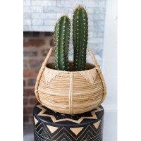 Bay Isle Home™ Abrao Wood Cachepot