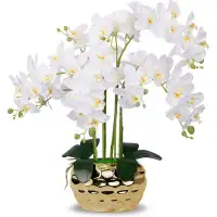 Primrue Artificial Orchid In Gold Vase White Orchid Silk Orchids Faux Orchid Plant In Gold Pot