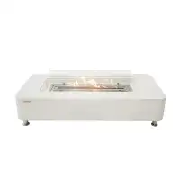 Elementi Sydney 14'' H x 61.9'' W Concrete Bio-ethanol Fuel Outdoor Fire Pit Table with Windscreen and Lid