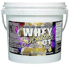 PROTEINE WHEY SENSATION 81 - 6.6 LBS BONUS SIZE - ULTIMATE NUTRITION in Health & Special Needs