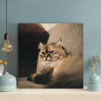 Latitude Run® Little Cute Beige Cat On Sofa - 1 Piece Square Graphic Art Print On Wrapped Canvas