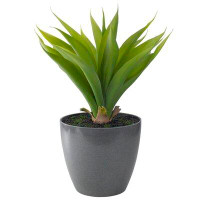 Northlight Seasonal 22" Potted Green Artificial Agave Plant