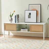 Ivy Bronx 54.33" Rattan TV cabinet with variable color light strip, double sliding doors for storage