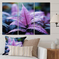 Design Art Purple Ferns Plant Ethereal Whispers I - Floral Metal Wall Art Living Room Set