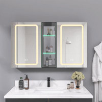 Brayden Studio Molinaro Surface Mount Frameless LED Medicine Cabinet with 3 Adjustable Shelves and LED Lighting