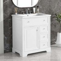 Wildon Home® Bathroom Vanity Cabinet with Door and Two Drawers,with Sink Top