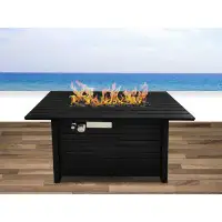 Latitude Run® Iwan 25.08" H x 20.08" W Stainless Steel Propane/Natural Gas Outdoor Fire Pit Table with Lid