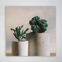 Foundry Select Shallow Focus Photography Of Potted Plants - 1 Piece Square Graphic Art Print On Wrapped Canvas