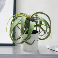 Wrought Studio 9" Artificial Tillandsia Succulent Plant in Pot