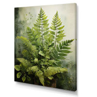 Gracie Oaks Ferns Plant Timeless Elegance IV - Floral & Botanical Wall Art Prints