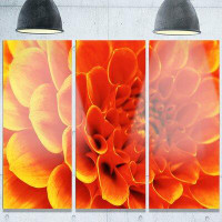 Design Art 'Large Orange Flower and Petals' 3 Piece Graphic Art on Canvas Se