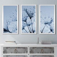 Picture Perfect International Dewy Dandelion Flower Close Up Full - 3 Piece Picture Frame Photograph Print Set on Canvas
