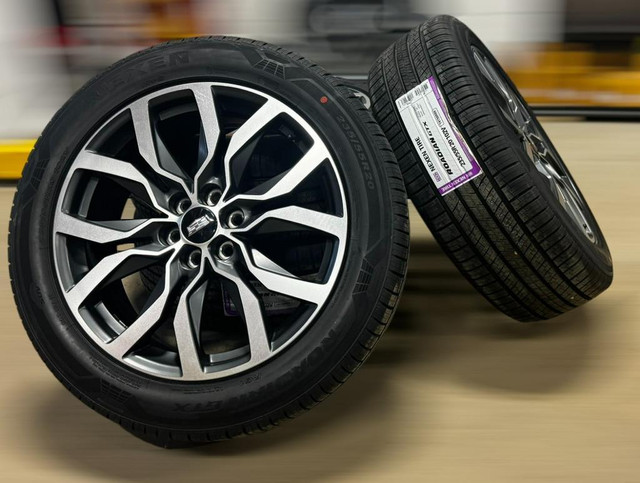 2024 Caddilac 20X8 OEM rims and allseason tires in Tires & Rims in Edmonton Area
