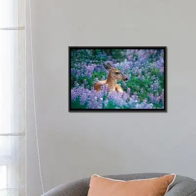 East Urban Home 'Black Tailed Doe Resting in a Bed of Lupines by Steve Kazlowski - Wrapped Canvas Gallery Wall Print