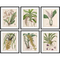 Rosalind Wheeler Plant Print Set Beautiful Plant Illustrations For Home Decor Wall Art