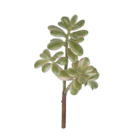 Primrue 12 Artificial Succulent Plant Set