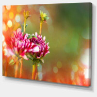 Made in Canada - Design Art 'Pink Flowers on Blurred Background' Graphic Art on Wrapped Canvas