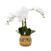 Primrue White Orchid Plant In Round Hexagon Design Shiny Gold Vase