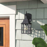 Andover Mills Edenfield Outdoor Wall Lantern Scone Dusk to Dawn Metal& Glass Shade