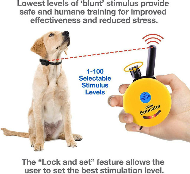 HUGE Discount! Educator ET-300TS 1/2-Mile Mini E-Collar Remote Dog Trainer | FAST, FREE Delivery to Your Home in Accessories - Image 2