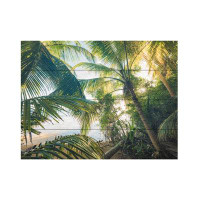 Bay Isle Home™ Stefan Hefele  Hide Under Palms Wood Slat Art