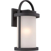 Darby Home Co Carrie 1-Light Outdoor Wall Lantern