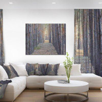 Design Art Slender Pine Tree Forest Photography - Wrapped Canvas Photograph Print