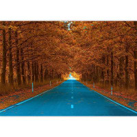 IDEA4WALL Road Through Autumn Forest Trees