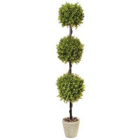 Charlton Home Spring Boxwood Topiary in Planter