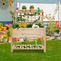 Arlmont & Co. Wooden Raised Garden Bed With Wheels Trellis And Storage Shelf