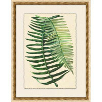 Wendover Art Group My Garden Fern 3 - Picture Frame Print on Glass