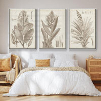 Bay Isle Home™ Sepia Exotic Plants IFramed Premium Gallery Wrapped Canvas Set of 3