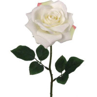 Primrue Charming 20" Cream Open Rose Flowers - Set Of 24 | Realistic Silk Blooms For Weddings, Home Decor & Special Occa