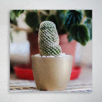 Foundry Select Green Cactus Plant 55 - 1 Piece Square Graphic Art Print On Wrapped Canvas