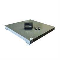 MexX Power Floor Scale, Shipping Scale, Industrial grade Certified 4ftX4ft, 5ftX5ft and Pallet Ramps 10,000Lb