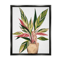 Stupell Industries Modern Potted Plant Leaves Framed Floater Canvas Wall Art By Ziwei Li
