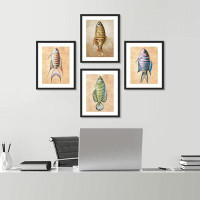 SIGNLEADER Colourful Vibrant Striped Nautical Fish Collage Marine Animals Set of 4 Wall Decor Framed Prints