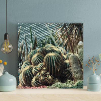 Foundry Select View Photography Of Green Cactus Plants - 1 Piece Square Graphic Art Print On Wrapped Canvas