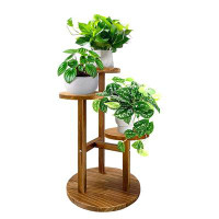 17 Stories Wood Corynne Corner Display Rack Multi-Tier Planter Pot Holder Flower Stand