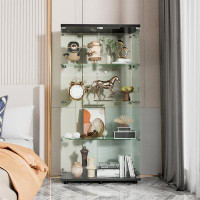Wrought Studio Jillion Two-Door Curio Bookshelf Glass Display Cabinet, Fast Installation In 50 Mins, Side By Side Door