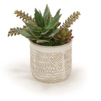 Williston Forge 4" Artificial Agave Succulent in Pot