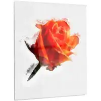 Made in Canada - Design Art 'Red Rose with Watercolor' Painting Print on Metal