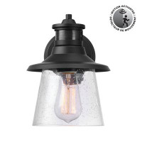 Globe Electric Company 1-Light Matte Black Motion Sensor Outdoor Wall Sconce with Clear Seeded Glass Shade
