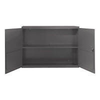 WFX Utility™ Wall Mounted Aerosol Storage Cabinet