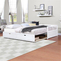 Latitude Run® Divina Twin Solid Wood Daybed with Trundle